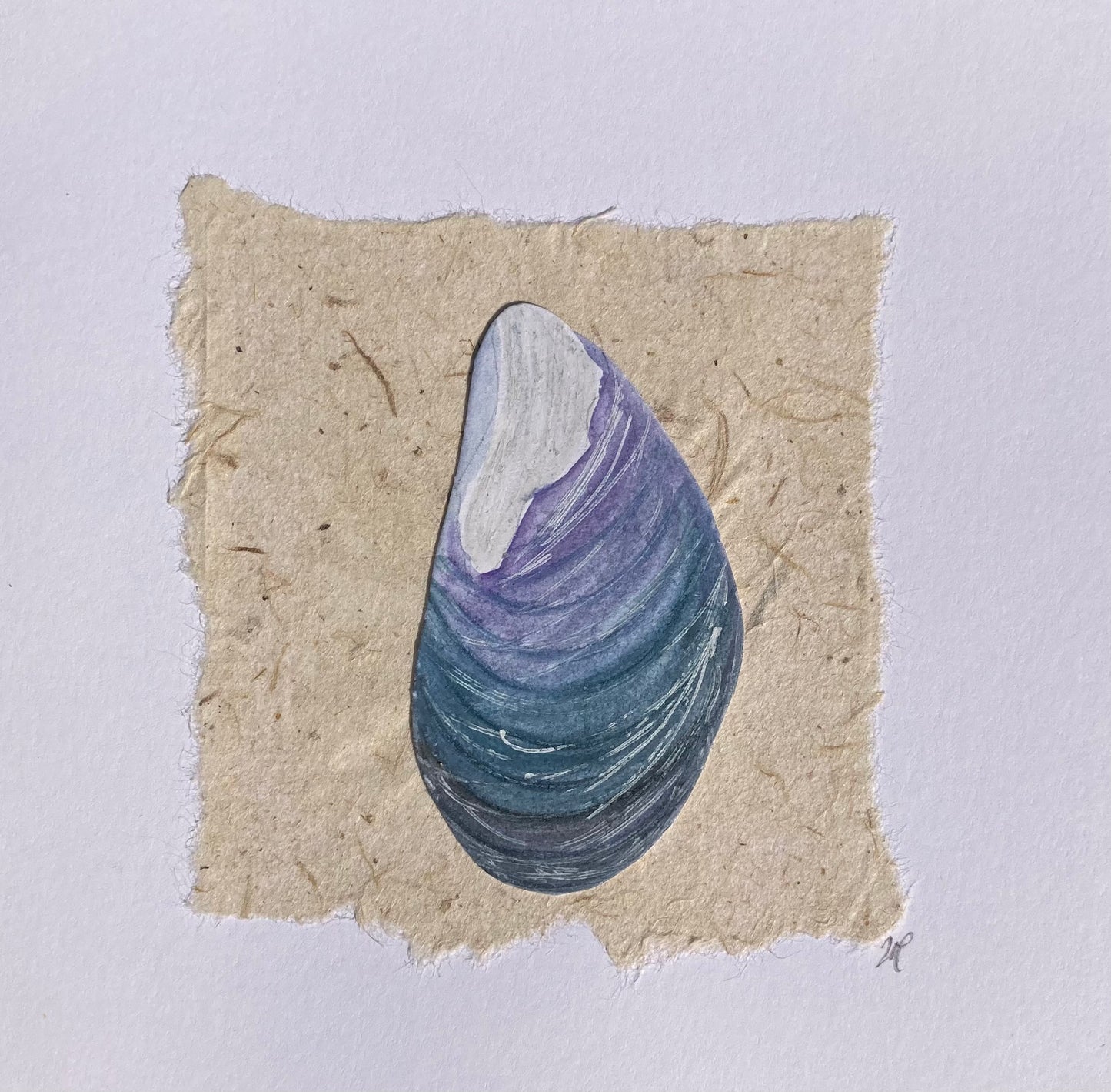 Cornish Mussel - Cornish Art Printed Greeting Card