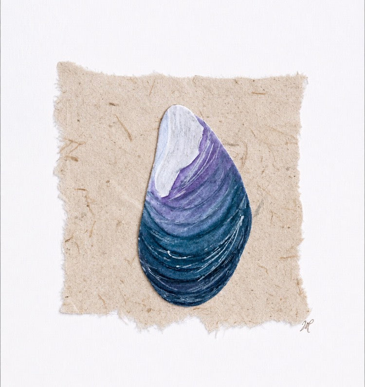 Cornish Mussel Mixed Media Framed Original