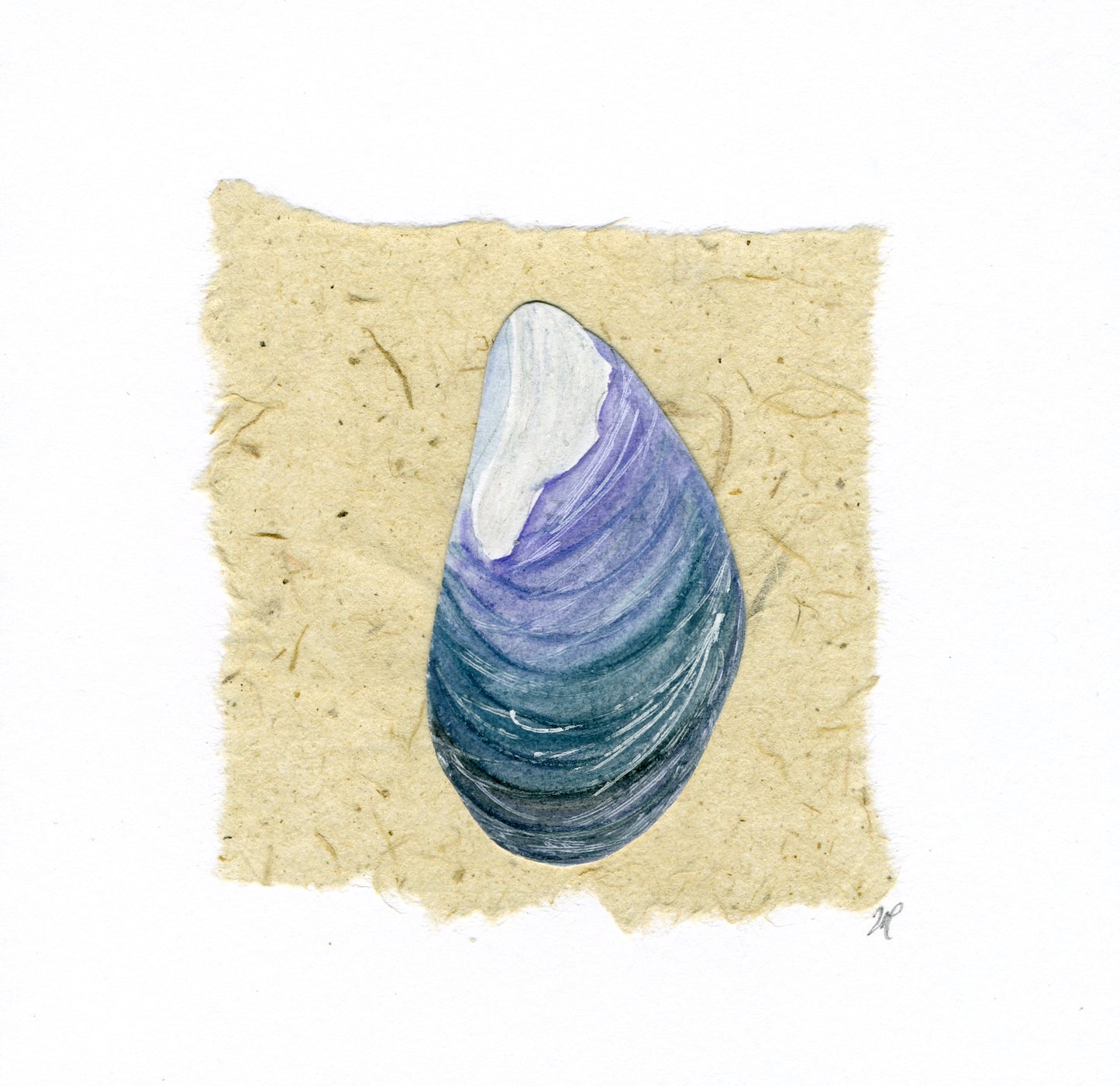 Original Hand-Painted Greeting Card - Mussel